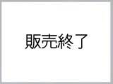 US連邦保安官実物支給バッジ　ディプティー