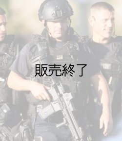 画像2: ロサンゼルス市警察SWATベスト用パッチ　ベルクロ付