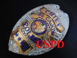 画像1: エルケイジョン市警察　実物旧支給バッジ　チーフ