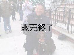 画像2: ニューヨーク市警察ESU支給ジャケット　日本人L