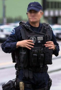 画像2: ロサンゼルス市警察メトロディビジョン114フラッグパッチベルクロ付き
