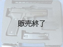 画像2: ＳＩＧ社実物ガンケース　