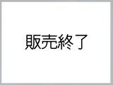 連邦保安官　実物支給バッジ　ディプティー