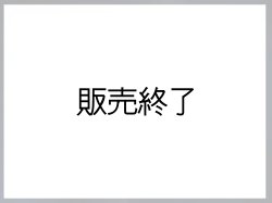 画像1: 連邦保安官　実物支給バッジ　ディプティー