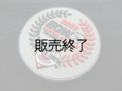 画像1: USPSA EGW エリア８シューティングマッチパッチ