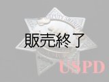 スタニスラウス　カウンティーシェリフ実物　ディプティー
