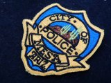メサ市警察ショルダーパッチ