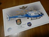 フェニックス市警察エアーサポートヘリコプターポスターSET