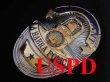 画像1: ラ・ハブラ市警察カリフォルニア実物支給バッジ　ルテナント (1)