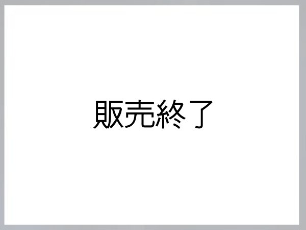 画像1: 合衆国国務省 犯罪調査官実物バッジ (1)