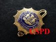 画像1: ニューヨーク市警察実物バッジ　ルテナント (1)