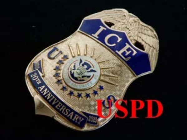 画像1: 連邦ホームランドセキュリティー移民局　20周年アニバーサリーバッジ (1)